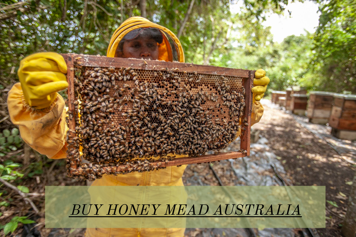 Buy Your Honey Mead Online